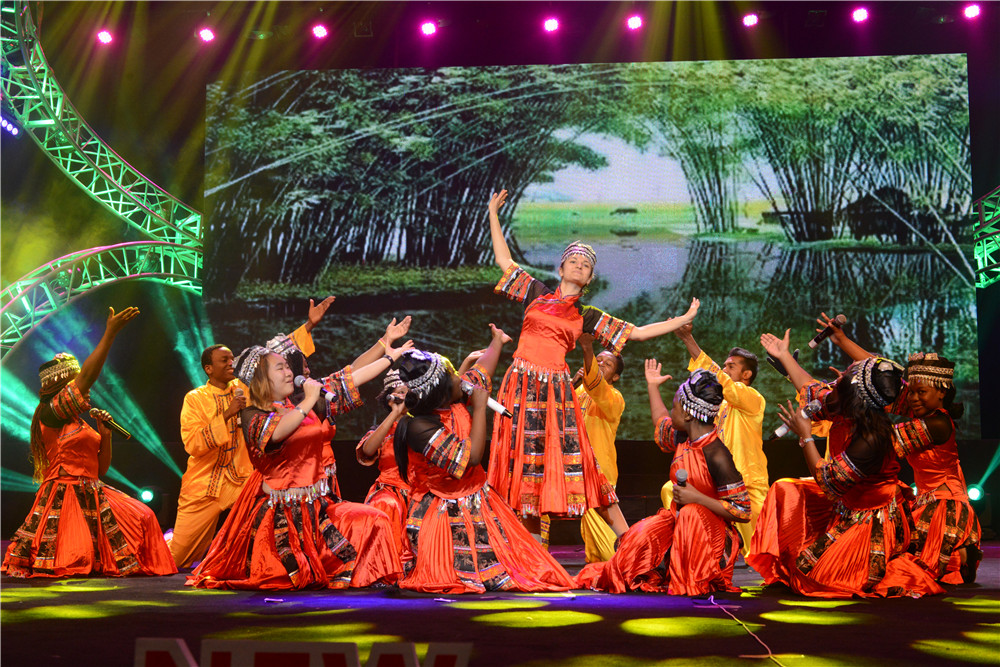 4 留学生表演《畲水秋歌》.JPG